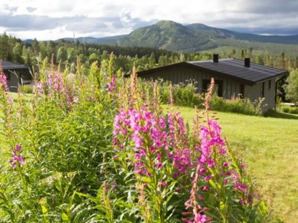 BRF Fjällbyn